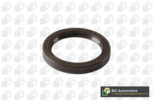 Vauxhall Citroen Peugeot Oil Pump Seal New BGA Part 25193519 OS1360