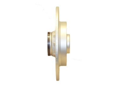 Citroen Peugeot DS Rear Brake Disc VSBD347