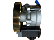 Citroen Peugeot Steering Pump VSSP121